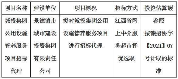 城投集團公用設施管養(yǎng)服務項目招標代理計劃公告