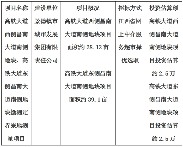 景德鎮(zhèn)市高鐵大道西側昌南大道南側地塊、高鐵大道東側昌南大道南側地塊勘測定界宗地測量項目計劃公告