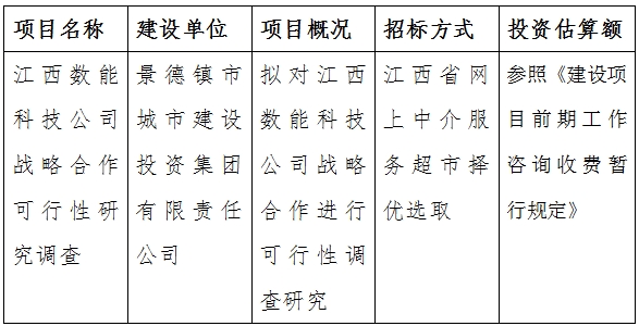 江西數能科技公司戰(zhàn)略合作可行性研究調查計劃公告