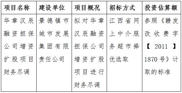 華章漢辰融資擔保公司增資擴股項目財務(wù)盡調(diào)計劃公告