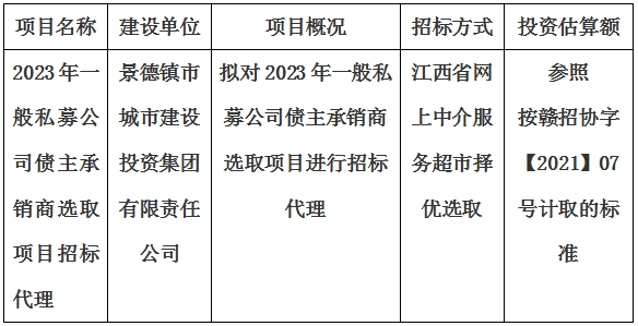 2023年一般私募公司債主承銷商選取項目招標(biāo)代理計劃公告