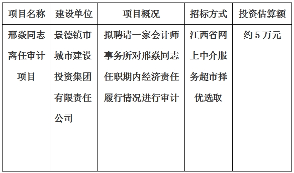 邢焱同志離任審計項目計劃公告