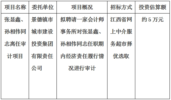 張顯鑫、孫相偉同志離任審計(jì)項(xiàng)目計(jì)劃公告