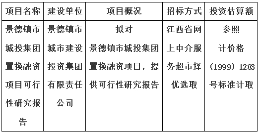 景德鎮(zhèn)市城投集團(tuán)置換融資項目可行性研究報告計劃公告