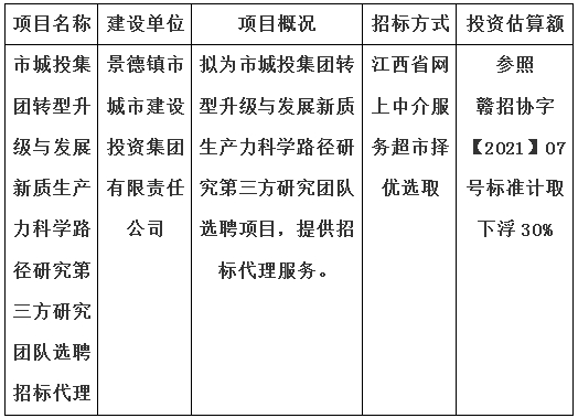 市城投集團轉(zhuǎn)型升級與發(fā)展新質(zhì)生產(chǎn)力科學(xué)路徑研究第三方研究團隊選聘招標代理計劃公告