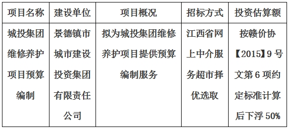 城投集團(tuán)維修養(yǎng)護(hù)項目預(yù)算編制計劃公告