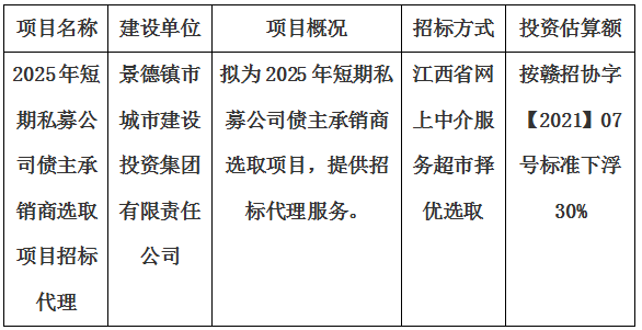 2025年短期私募公司債主承銷(xiāo)商選取項(xiàng)目招標(biāo)代理計(jì)劃公告