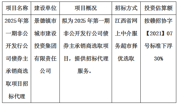 2025年第一期非公開發(fā)行公司債券主承銷商選取項目招標(biāo)代理計劃公告