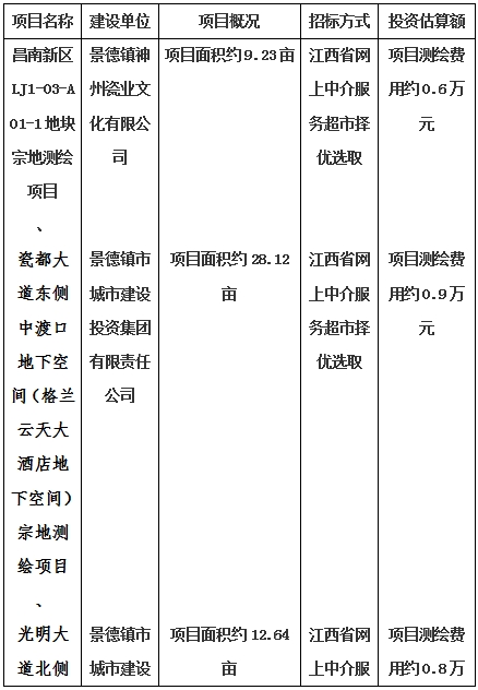 景德鎮(zhèn)市昌南新區(qū)LJ1-03-A01-1地塊、瓷都大道東側(cè)中渡口地下空間（格蘭云天大酒店地下空間）、光明大道北側(cè)利民路西側(cè)地下空間（青少年宮地下空間）、規(guī)劃二路北側(cè)地下空間地塊二（加速基地地下空間）、規(guī)劃二路北側(cè)地下空間地塊一（加速基地地下空間）、景德大道南側(cè)天寶橋西側(cè)地塊、景興大道東側(cè)如意路北側(cè)地下空間(社會(huì)公共服務(wù)