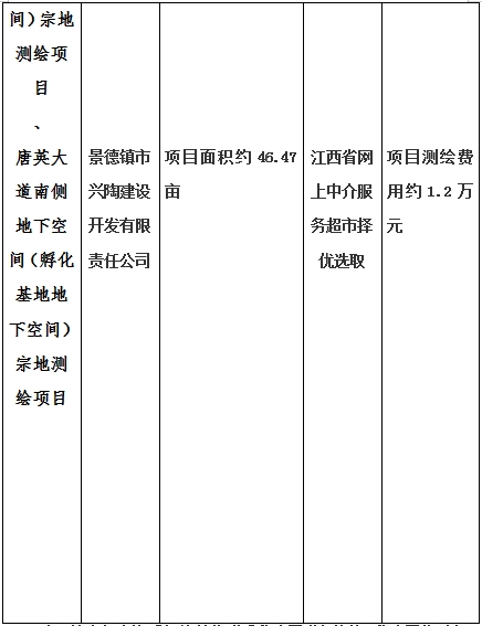 景德鎮(zhèn)市昌南新區(qū)LJ1-03-A01-1地塊、瓷都大道東側(cè)中渡口地下空間（格蘭云天大酒店地下空間）、光明大道北側(cè)利民路西側(cè)地下空間（青少年宮地下空間）、規(guī)劃二路北側(cè)地下空間地塊二（加速基地地下空間）、規(guī)劃二路北側(cè)地下空間地塊一（加速基地地下空間）、景德大道南側(cè)天寶橋西側(cè)地塊、景興大道東側(cè)如意路北側(cè)地下空間(社會(huì)公共服務(wù)